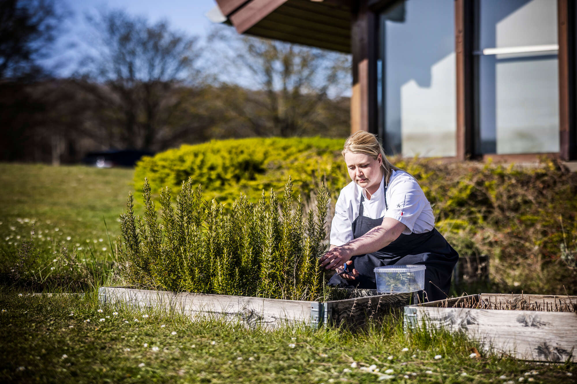 OBS // CKL shoot fra 2025 - og hvor billeder med modeller - udløber per 1. april 2030