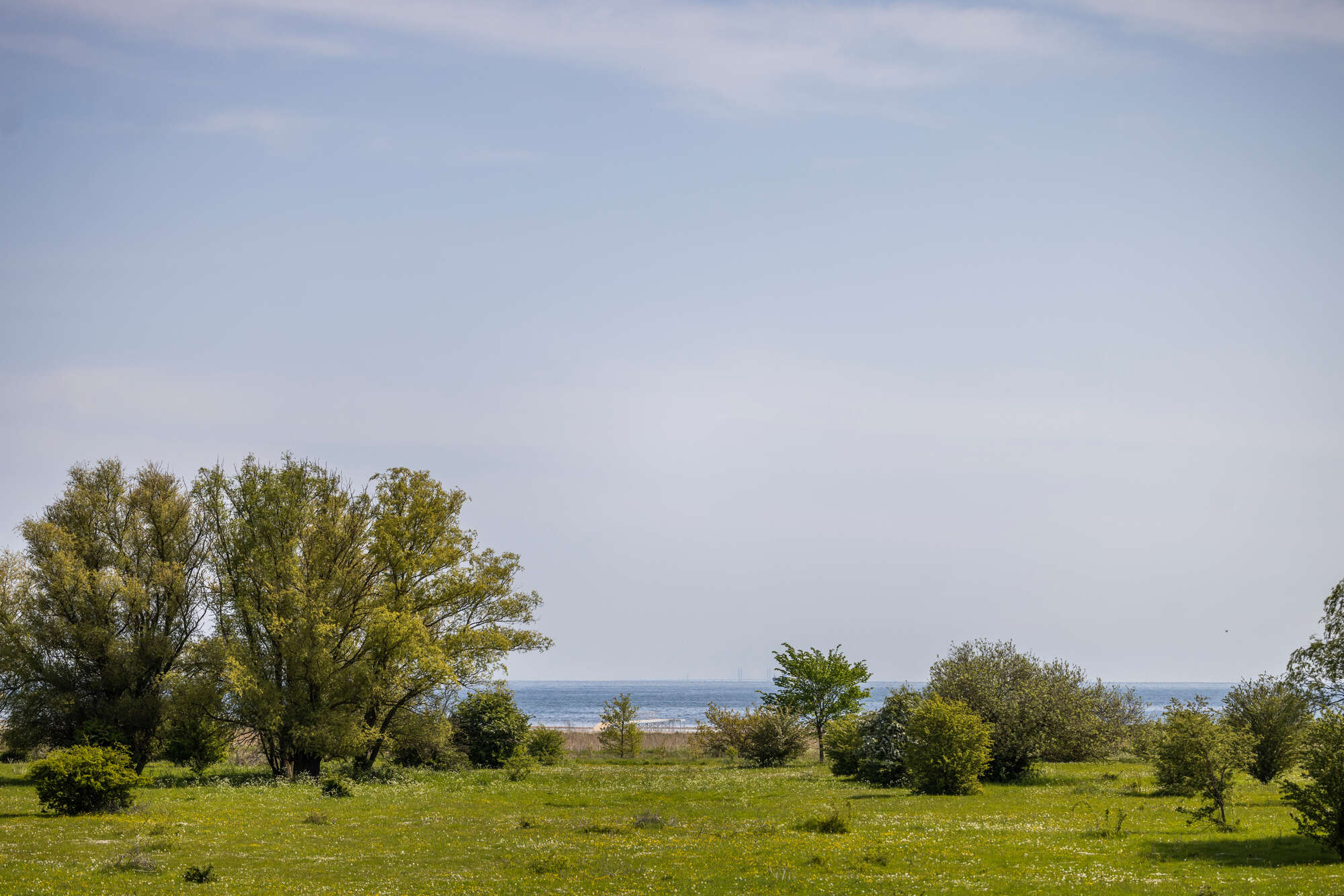 udendørs
Jesper Rais