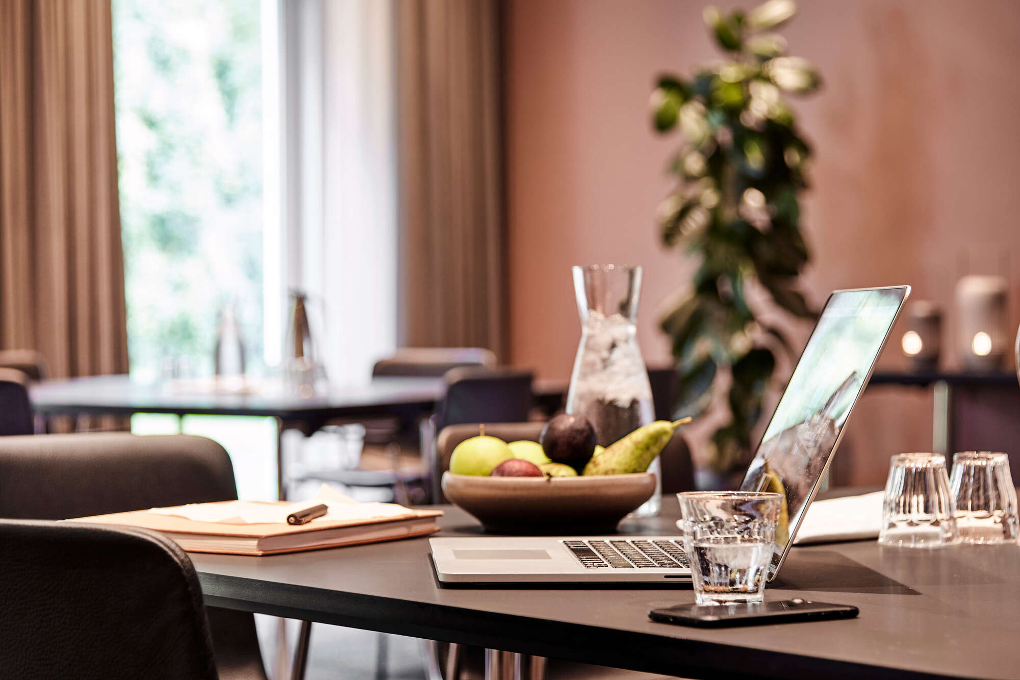 Møder på Borupgaard