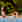 Comwell Borupgaard spa spapark aquaspa yoga
Jesper Rais