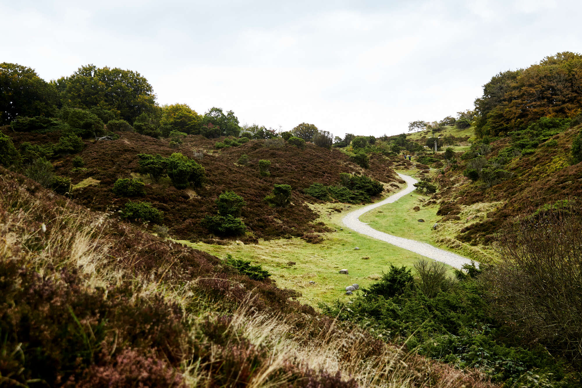 wichmann+bendtsen www.wplusb.dk